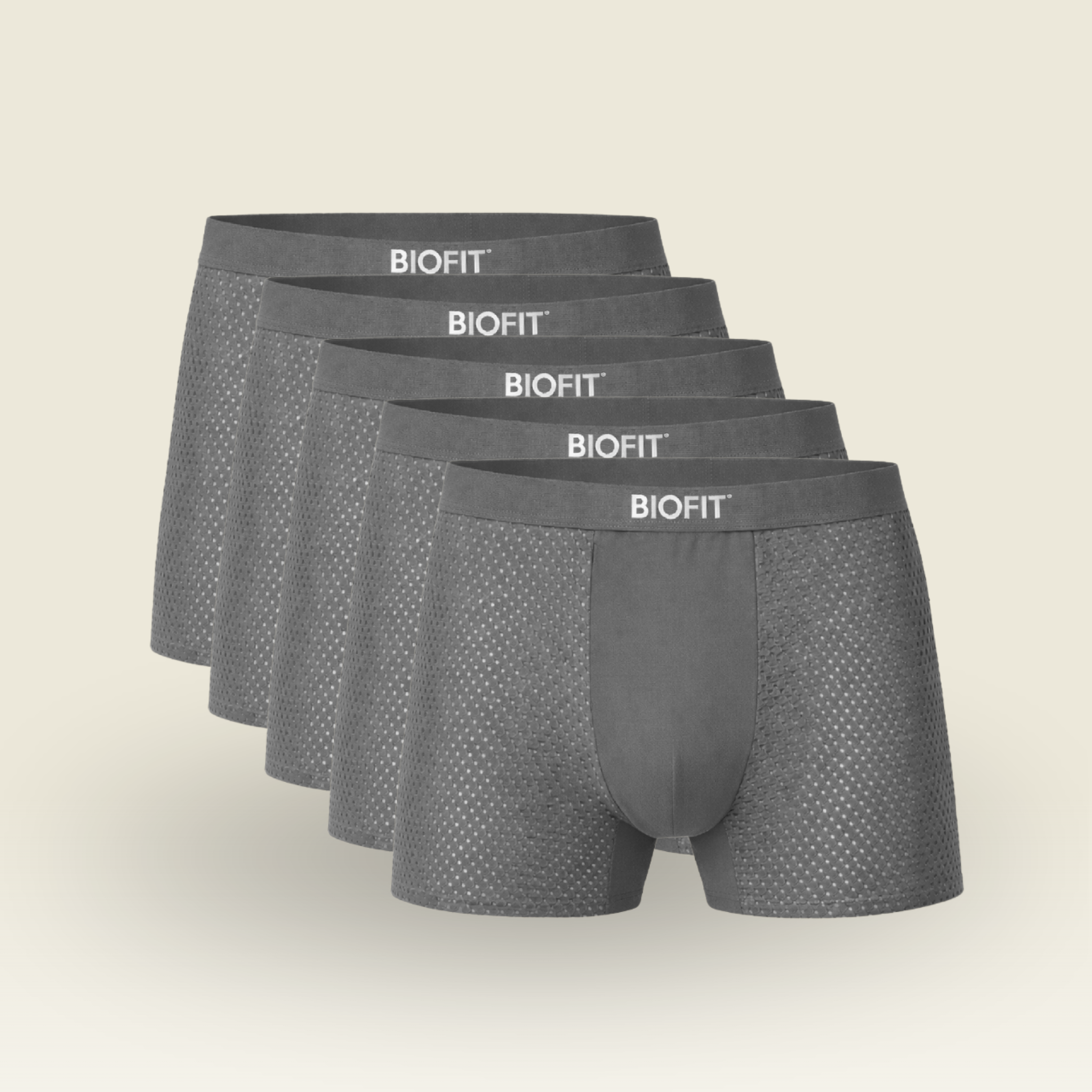BIOFIT® Essentials Boxer Trunks Grey